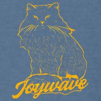 Joywave Cat Leave Me The Fluff Alone Garment-Dyed Sweatshirt