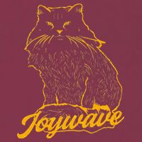 Joywave Cat Leave Me The Fluff Alone 16oz Travel Tumbler