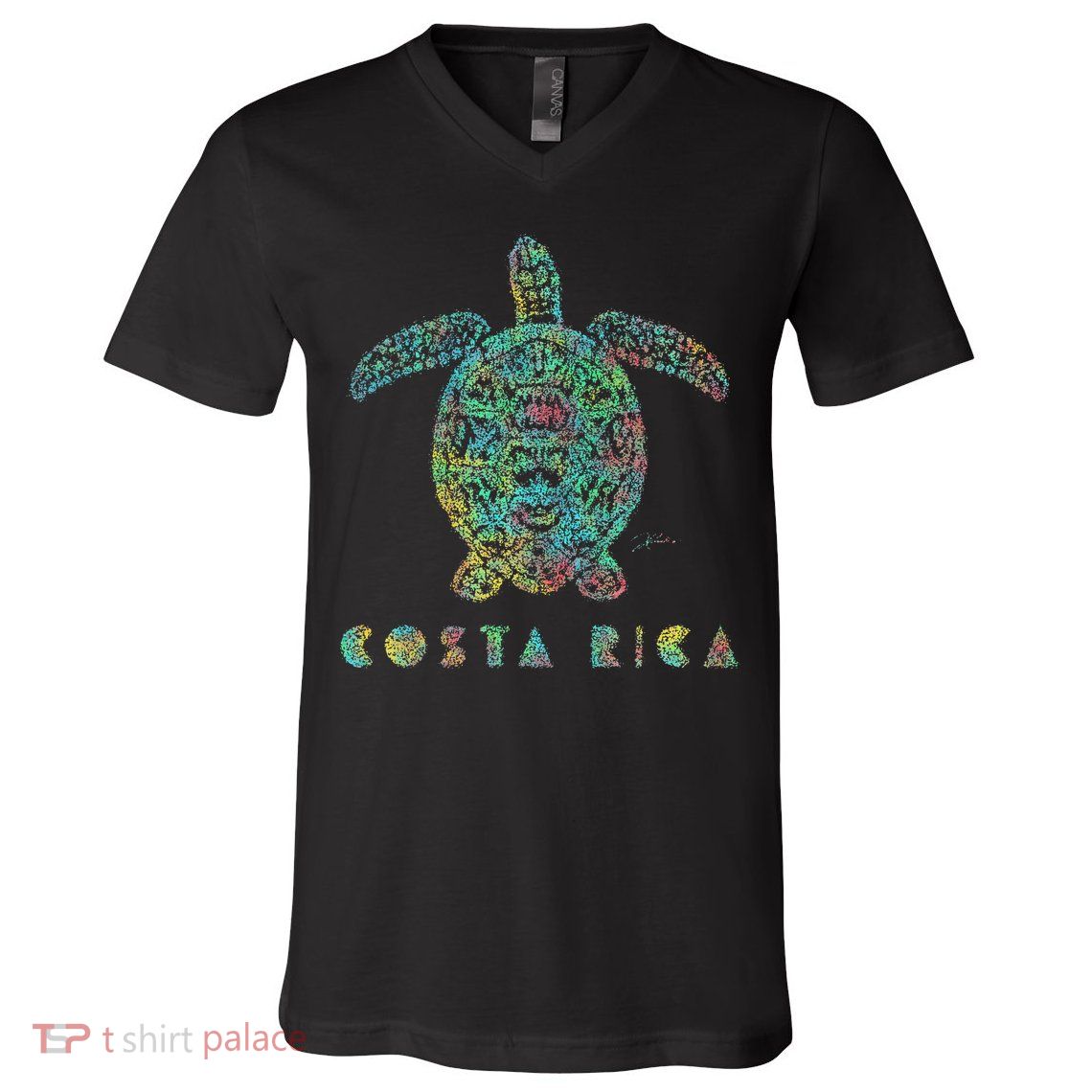 JCombs Costa Rica Sea Turtle V-Neck T-Shirt