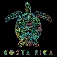JCombs Costa Rica Sea Turtle 7-Panel Snapback Hat