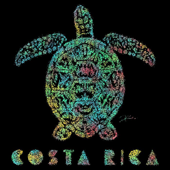 JCombs Costa Rica Sea Turtle 7-Panel Snapback Hat
