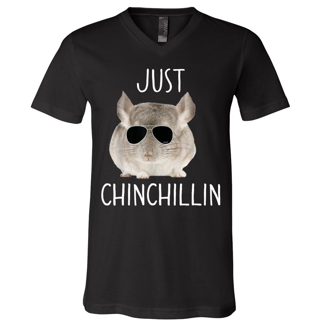 JUST CHINCHILLIN TSHIRT, CHINCHILLA, BRO, RELAXING, CHILLIN V-Neck T-Shirt