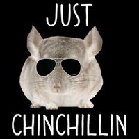 JUST CHINCHILLIN TSHIRT, CHINCHILLA, BRO, RELAXING, CHILLIN Button