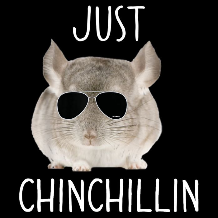 JUST CHINCHILLIN TSHIRT, CHINCHILLA, BRO, RELAXING, CHILLIN Button