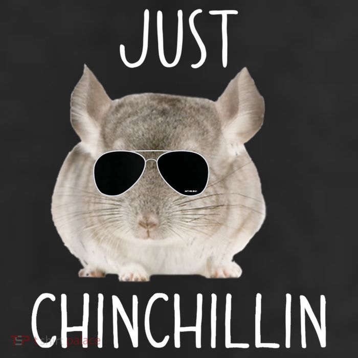 JUST CHINCHILLIN TSHIRT, CHINCHILLA, BRO, RELAXING, CHILLIN 11oz C Handle Ceramic Mug