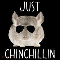 JUST CHINCHILLIN TSHIRT, CHINCHILLA, BRO, RELAXING, CHILLIN 16 in Basic Backpack