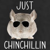 JUST CHINCHILLIN TSHIRT, CHINCHILLA, BRO, RELAXING, CHILLIN Microfiber Hand Towel