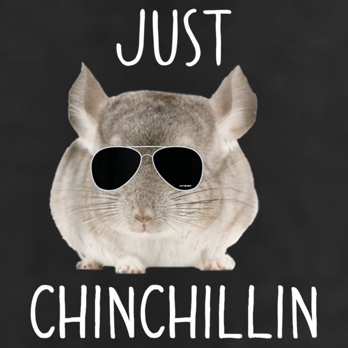 JUST CHINCHILLIN TSHIRT, CHINCHILLA, BRO, RELAXING, CHILLIN Microfiber Hand Towel