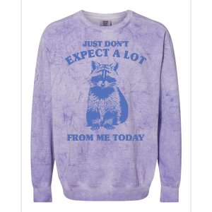 Just Dont Expect A Lot From Me Today Raccoon Funny Colorblast Crewneck Sweatshirt