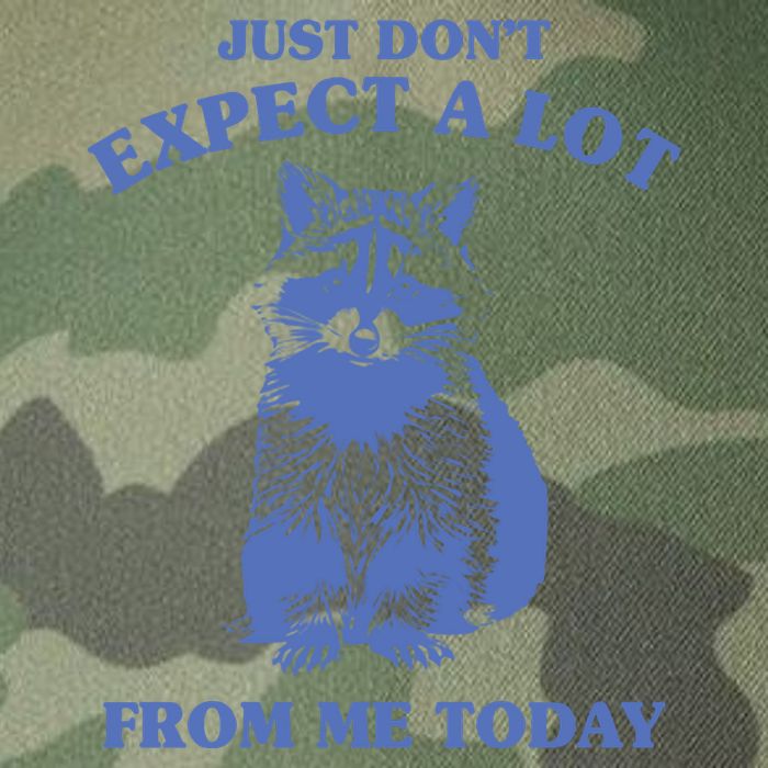 Just Dont Expect A Lot From Me Today Raccoon Funny Legacy Tie Dye Trucker Hat