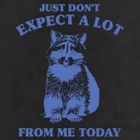 Just Dont Expect A Lot From Me Today Raccoon Funny 7 Panel Mesh Trucker Snapback Hat