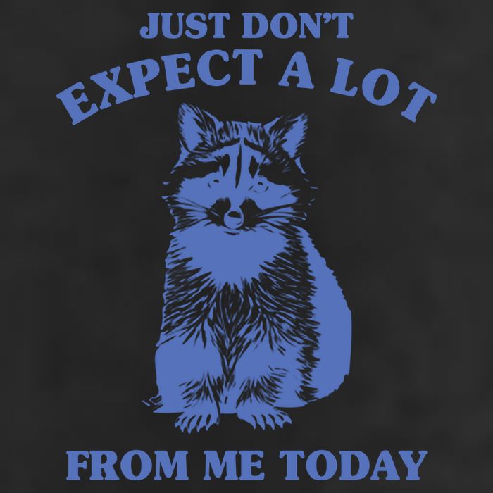 Just Dont Expect A Lot From Me Today Raccoon Funny 7 Panel Mesh Trucker Snapback Hat