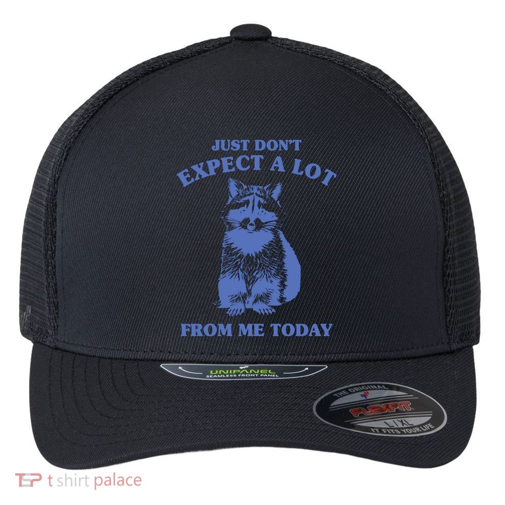 Just Dont Expect A Lot From Me Today Raccoon Funny Flexfit Unipanel Trucker Cap