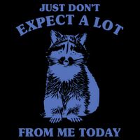 Just Dont Expect A Lot From Me Today Raccoon Funny 7-Panel Snapback Hat