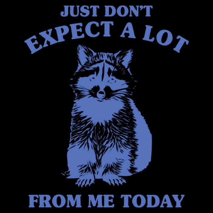 Just Dont Expect A Lot From Me Today Raccoon Funny 7-Panel Snapback Hat