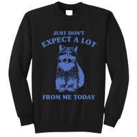 Just Dont Expect A Lot From Me Today Raccoon Funny Tall Sweatshirt