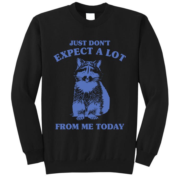 Just Dont Expect A Lot From Me Today Raccoon Funny Tall Sweatshirt