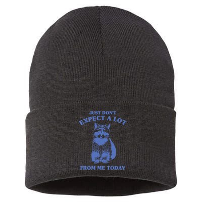 Just Dont Expect A Lot From Me Today Raccoon Funny Sustainable Knit Beanie