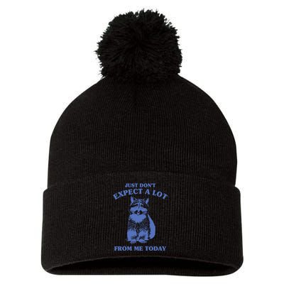 Just Dont Expect A Lot From Me Today Raccoon Funny Pom Pom 12in Knit Beanie