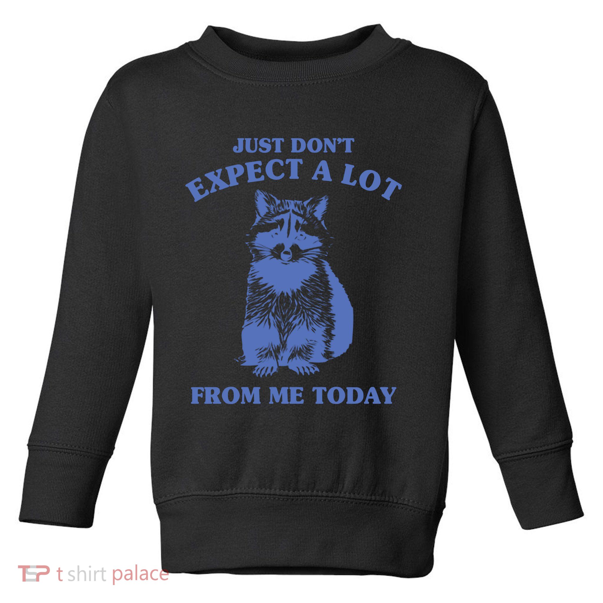 Just Dont Expect A Lot From Me Today Raccoon Funny Toddler Sweatshirt
