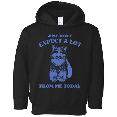 Just Dont Expect A Lot From Me Today Raccoon Funny Toddler Hoodie