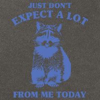 Just Dont Expect A Lot From Me Today Raccoon Funny Cotton Canvas Backpack