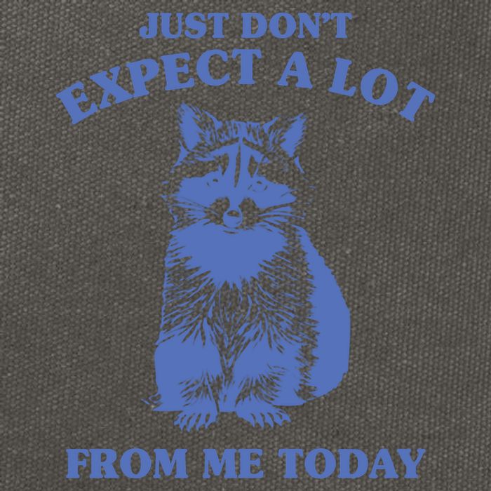 Just Dont Expect A Lot From Me Today Raccoon Funny Cotton Canvas Backpack