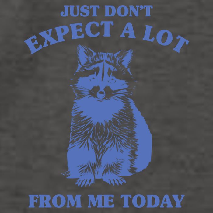 Just Dont Expect A Lot From Me Today Raccoon Funny Vector Backpack