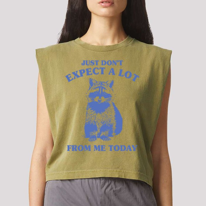 Just Dont Expect A Lot From Me Today Raccoon Funny Garment-Dyed Women's Muscle Tee