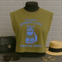 Just Dont Expect A Lot From Me Today Raccoon Funny Garment-Dyed Women's Muscle Tee