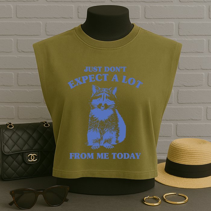 Just Dont Expect A Lot From Me Today Raccoon Funny Garment-Dyed Women's Muscle Tee