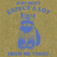 Just Dont Expect A Lot From Me Today Raccoon Funny Garment-Dyed Women's Muscle Tee