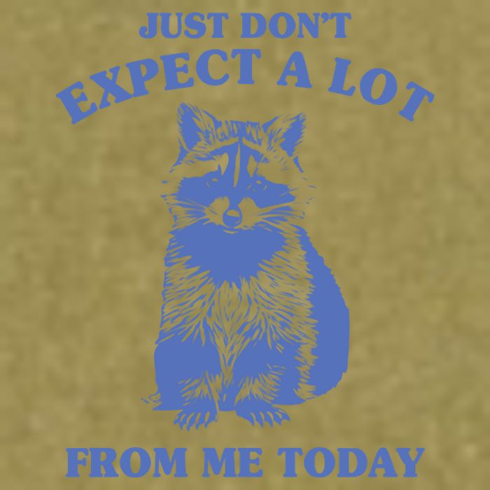 Just Dont Expect A Lot From Me Today Raccoon Funny Garment-Dyed Women's Muscle Tee