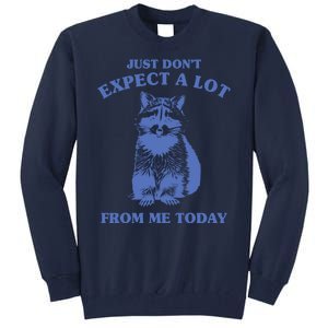 Just Dont Expect A Lot From Me Today Raccoon Funny Tall Sweatshirt