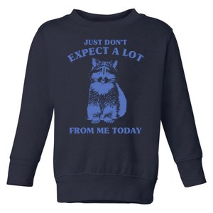 Just Dont Expect A Lot From Me Today Raccoon Funny Toddler Sweatshirt