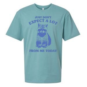 Just Dont Expect A Lot From Me Today Raccoon Funny Sueded Cloud Jersey T-Shirt