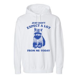 Just Dont Expect A Lot From Me Today Raccoon Funny Garment-Dyed Fleece Hoodie