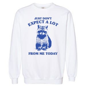 Just Dont Expect A Lot From Me Today Raccoon Funny Garment-Dyed Sweatshirt