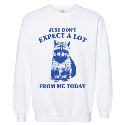 Just Dont Expect A Lot From Me Today Raccoon Funny Garment-Dyed Sweatshirt