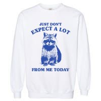 Just Dont Expect A Lot From Me Today Raccoon Funny Garment-Dyed Sweatshirt