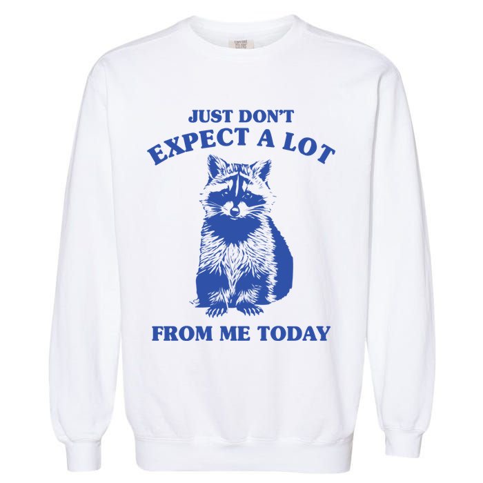 Just Dont Expect A Lot From Me Today Raccoon Funny Garment-Dyed Sweatshirt