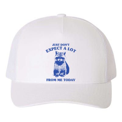 Just Dont Expect A Lot From Me Today Raccoon Funny Yupoong Adult 5-Panel Trucker Hat