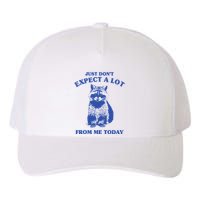 Just Dont Expect A Lot From Me Today Raccoon Funny Yupoong Adult 5-Panel Trucker Hat