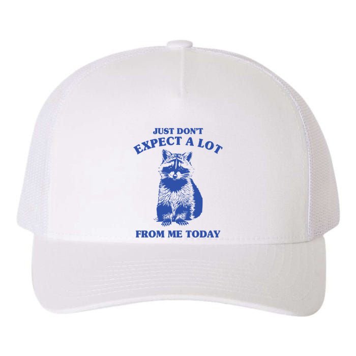 Just Dont Expect A Lot From Me Today Raccoon Funny Yupoong Adult 5-Panel Trucker Hat