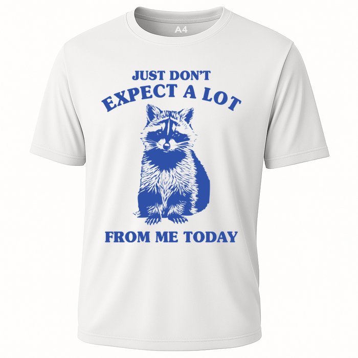 Just Dont Expect A Lot From Me Today Raccoon Funny Performance Shirt