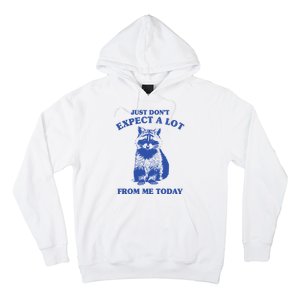 Just Dont Expect A Lot From Me Today Raccoon Funny Hoodie