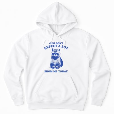 Just Dont Expect A Lot From Me Today Raccoon Funny Hoodie