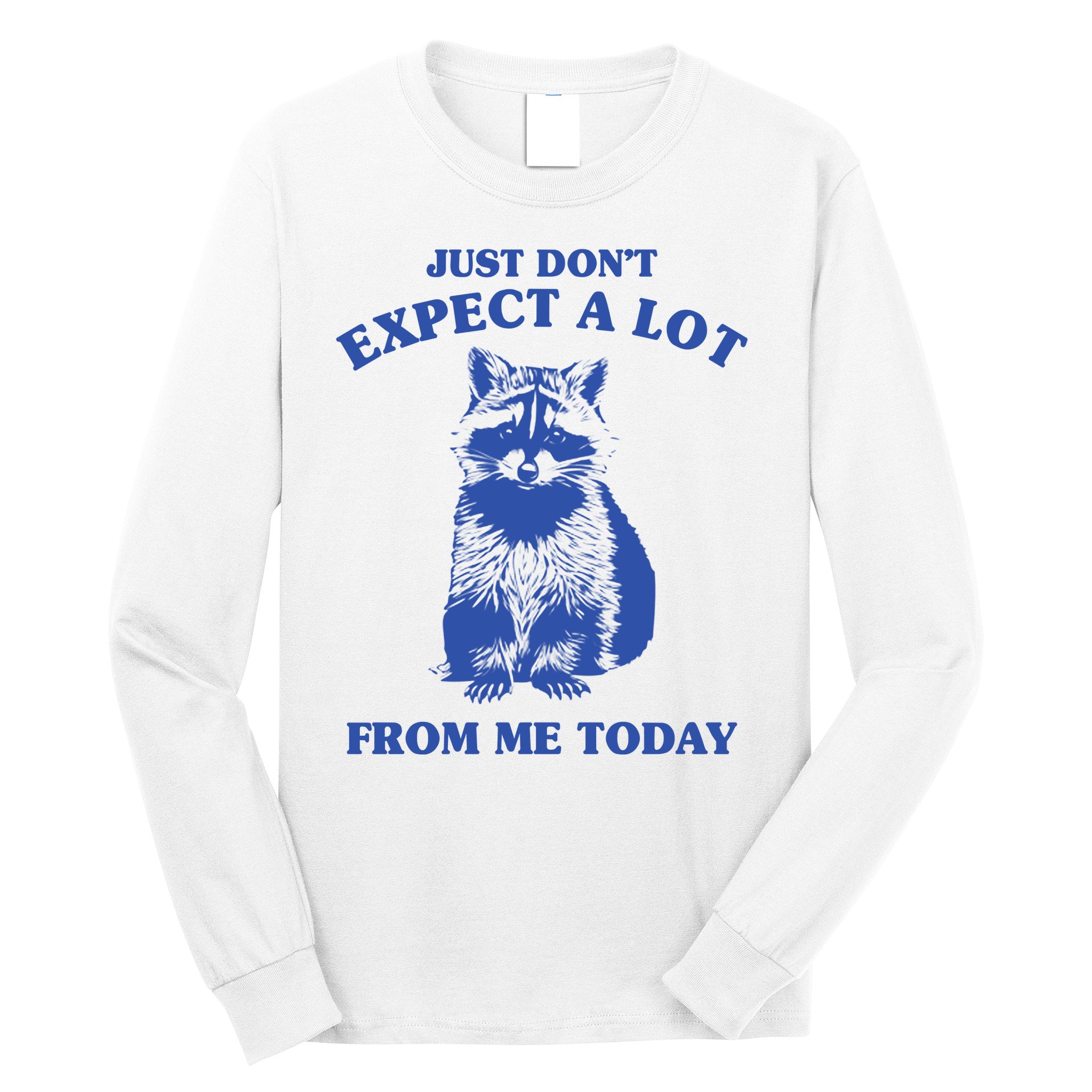Just Dont Expect A Lot From Me Today Raccoon Funny Long Sleeve Shirt