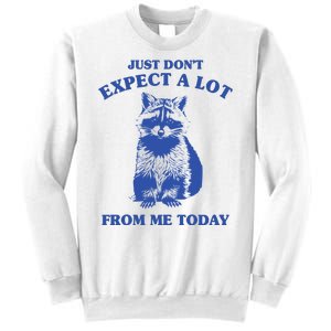 Just Dont Expect A Lot From Me Today Raccoon Funny Sweatshirt