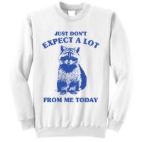 Just Dont Expect A Lot From Me Today Raccoon Funny Sweatshirt